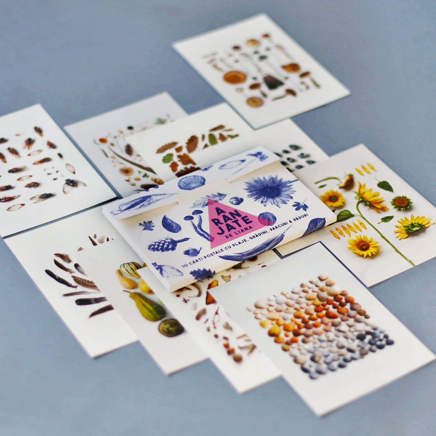  #AranjatedeLiana Postcars & Totebags collection