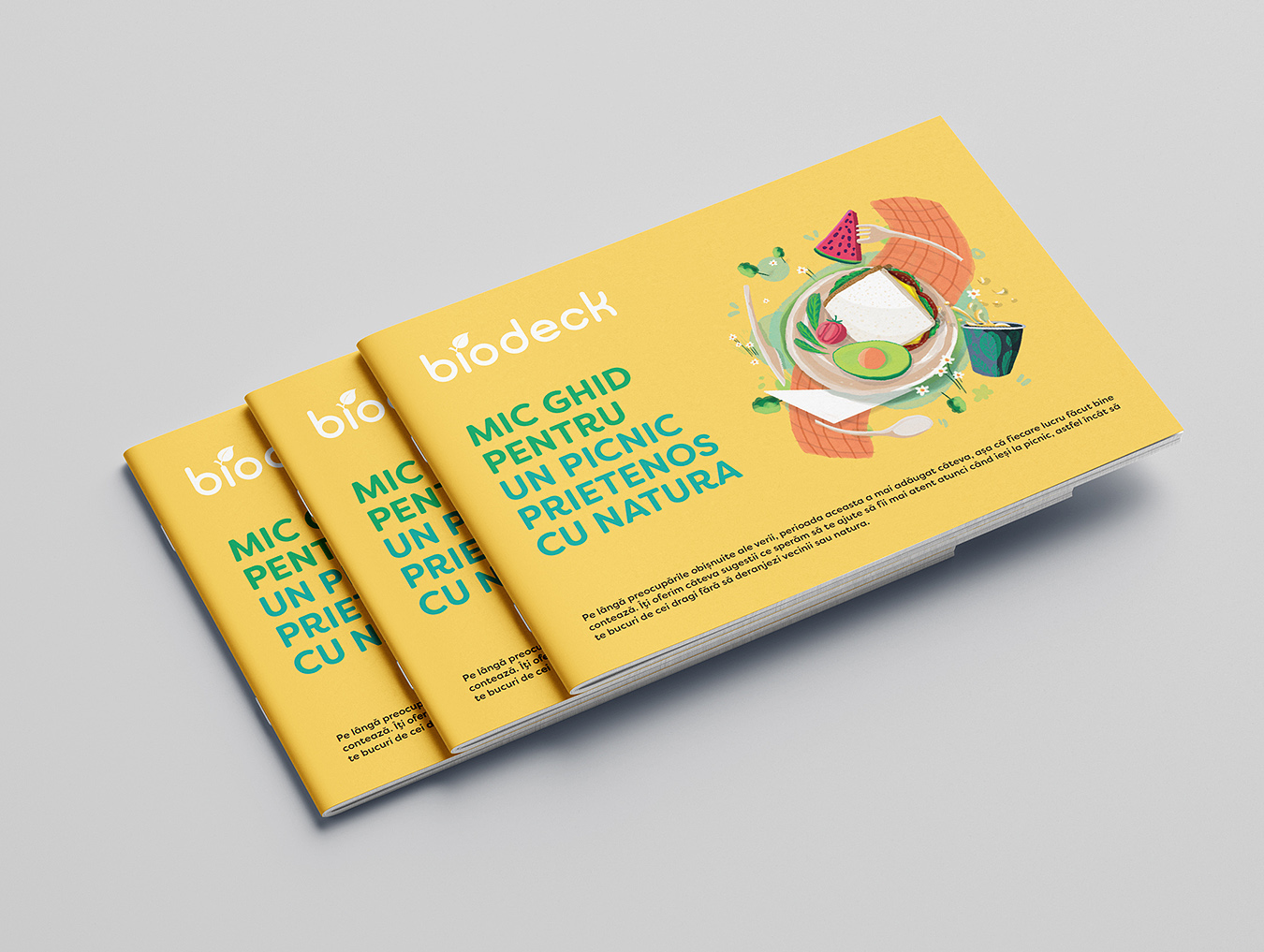 Biodeck Picnic Box packaging