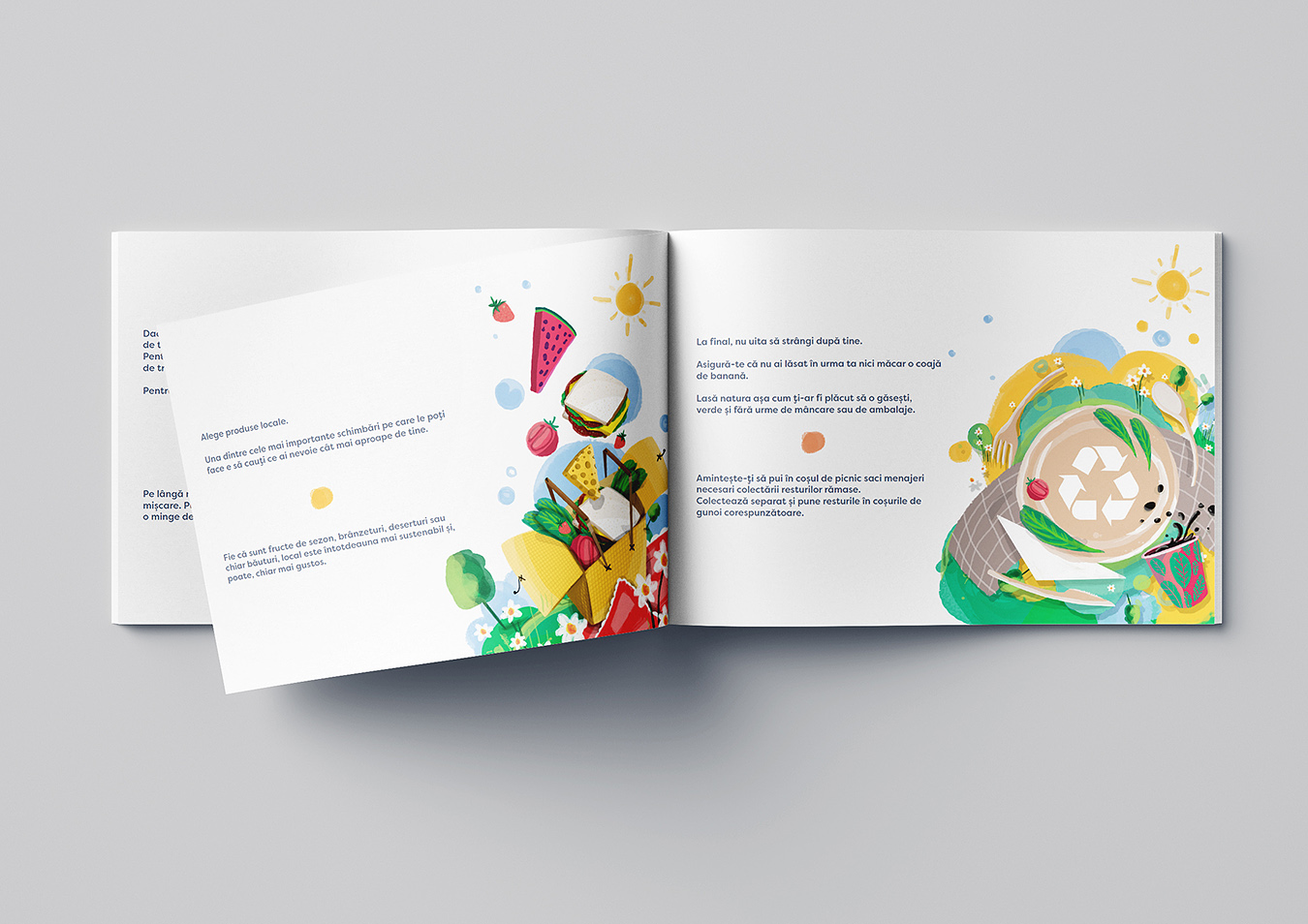 Biodeck Picnic Box packaging