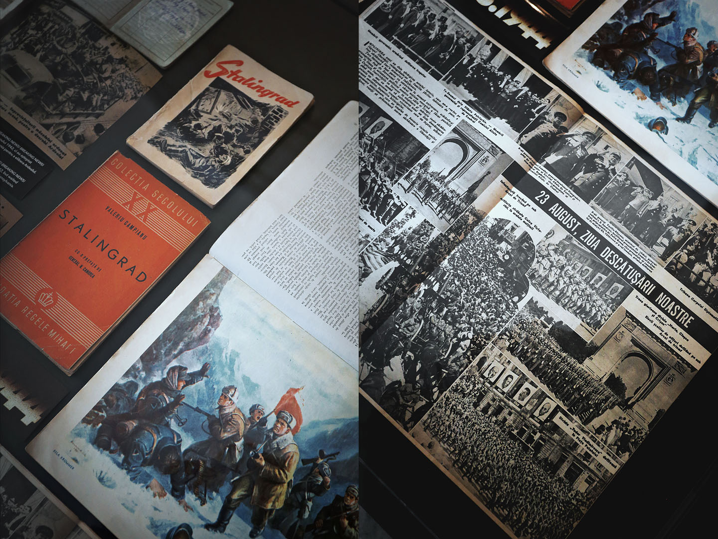repWARtaje @ Muzeul National de Istorie