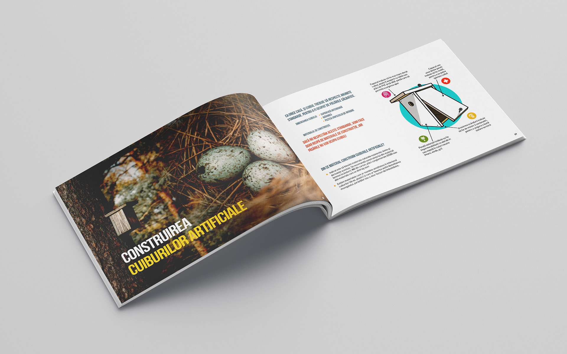 Romanian Ornithological Society - DIY birds nest book & special project
